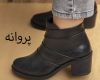  کفش پروانه 